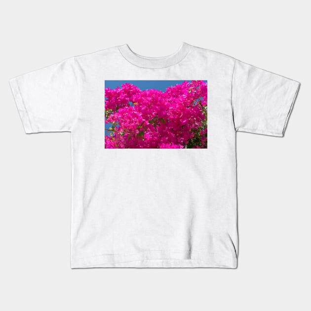 Bright pink bougainvillea flowers and vine Kids T-Shirt by brians101